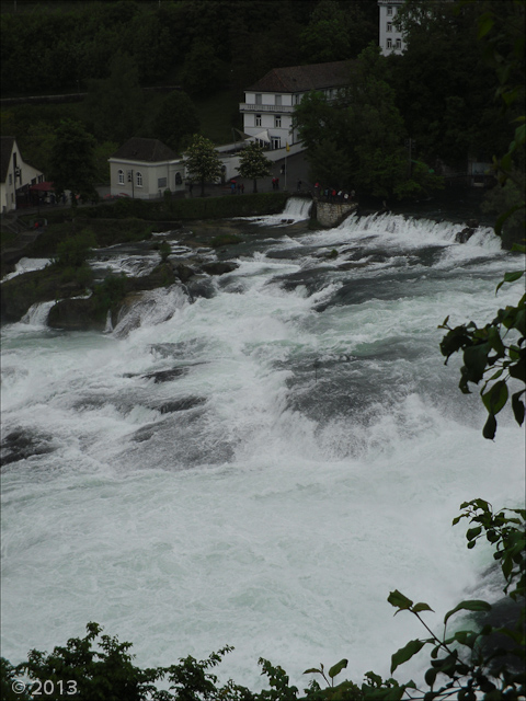 Trip to Rhein Falls