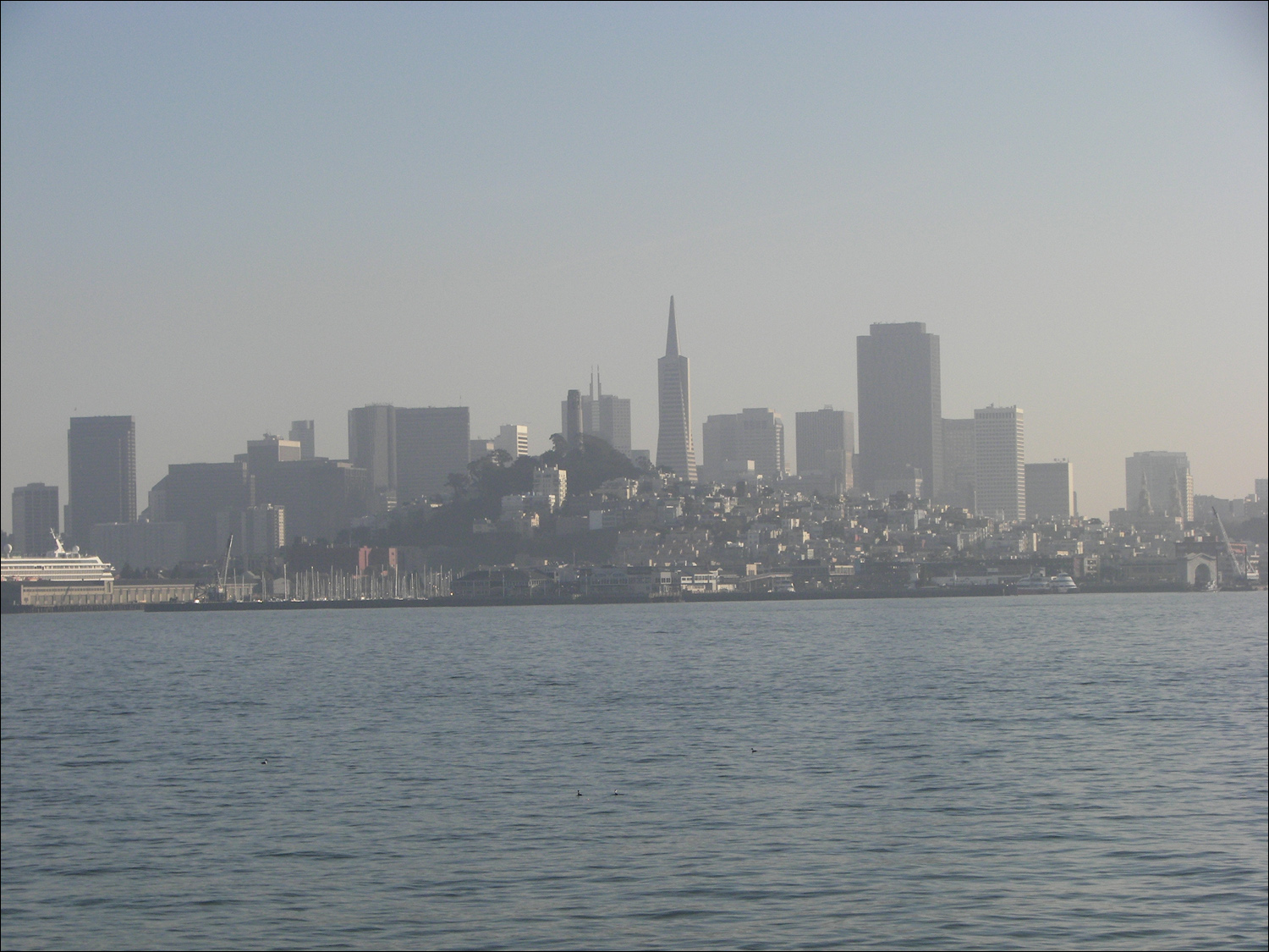 Return ferry trip-  View of SF