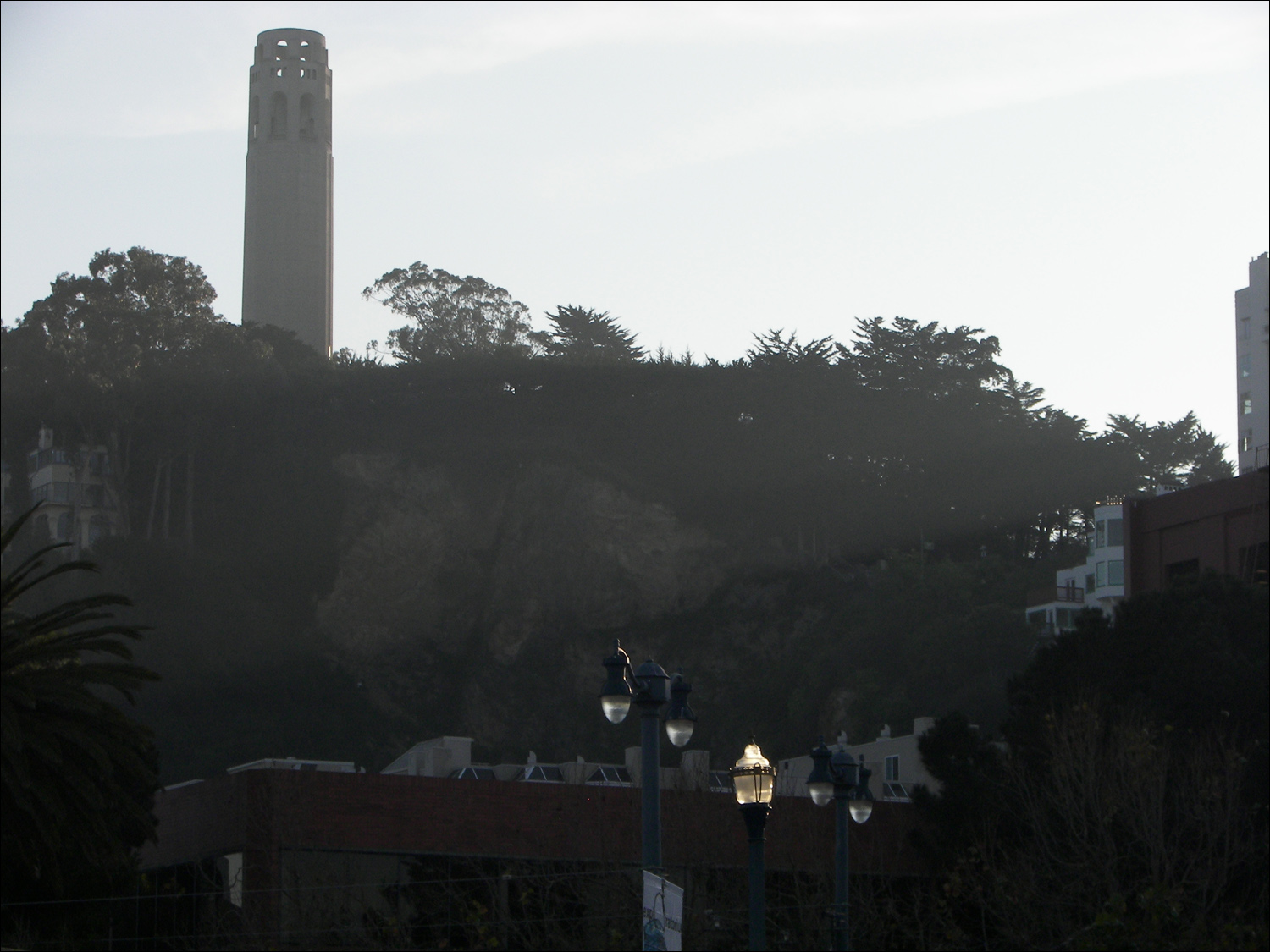 Return ferry trip-  View of Coit tower