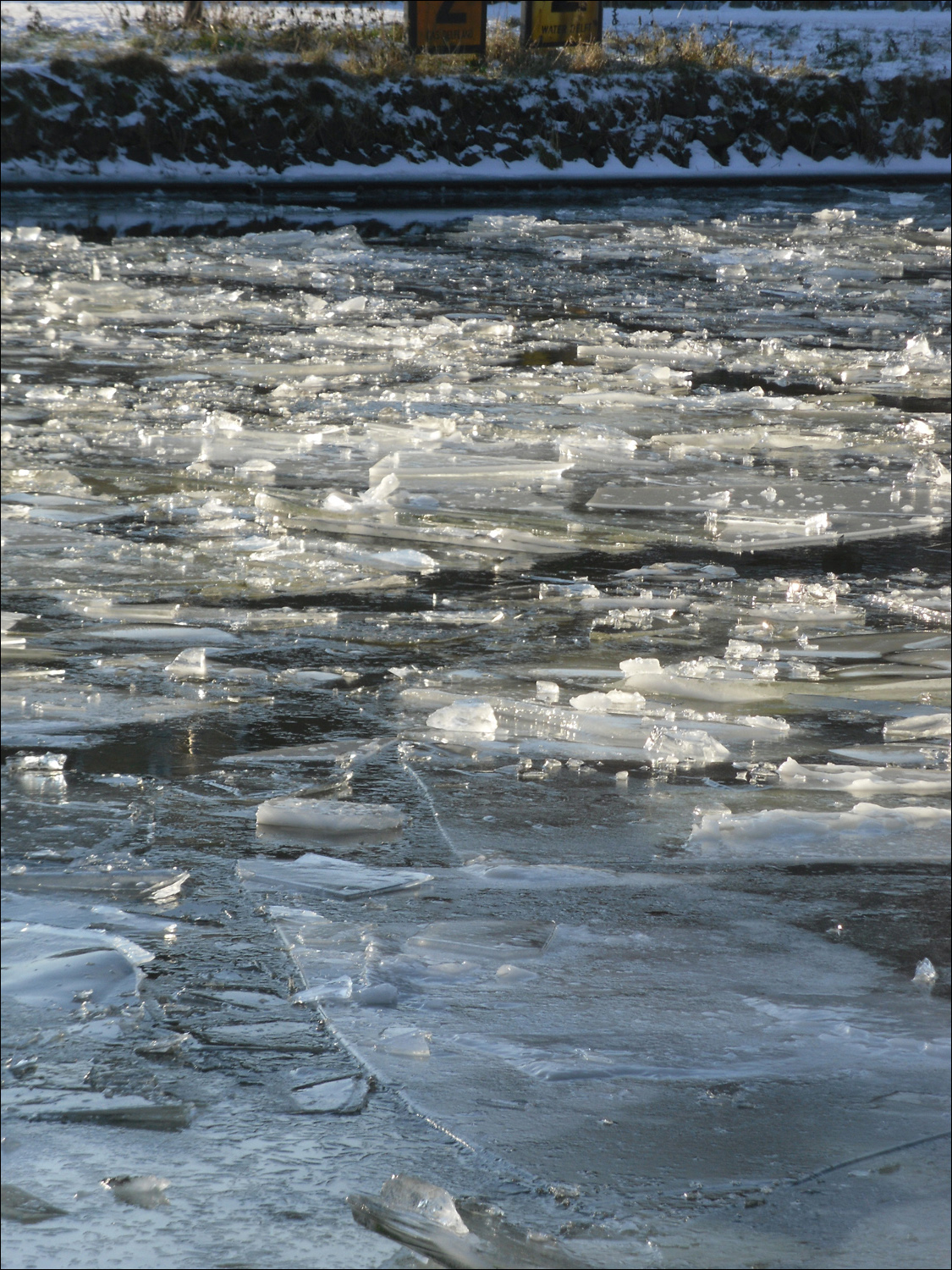 Delft canal ice