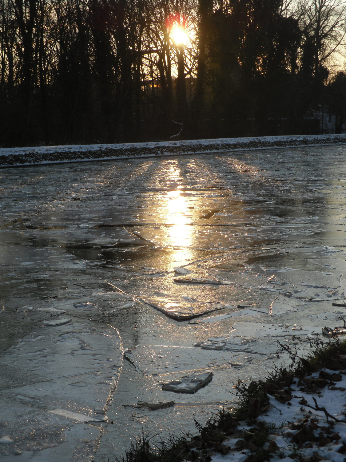 Frozen Delft canal - it was cold!